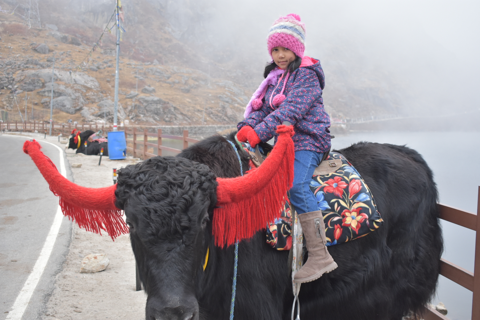 Gangtok Tour